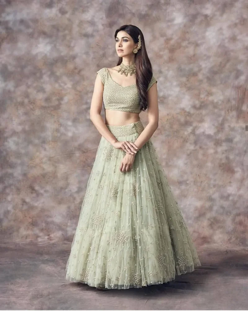 Aqua Green Net Lehenga Choli