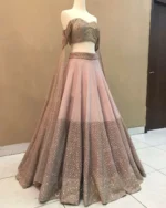 jaridori-sequence-embroidery-lehenga