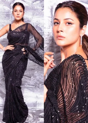 shehnaaz-gill-georgette-saree