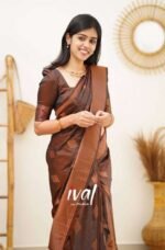 brown-banarasi-silk-saree