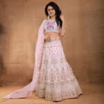 heavy-embroidered-sequence-lehenga-choli