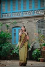 banarasi-silk-sarees-light-green