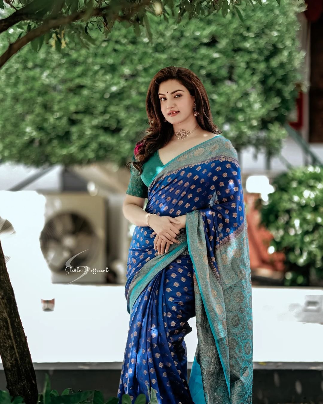 Multi Colour Banarasi Silk Traditional Designer Saree buy online -