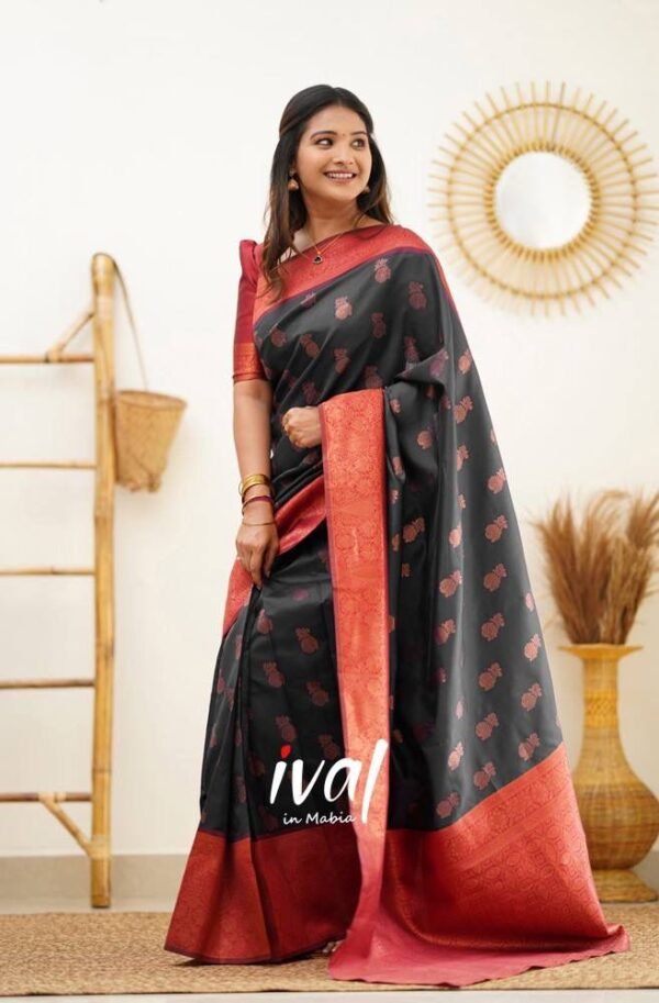 four colours banarasi silk saree black