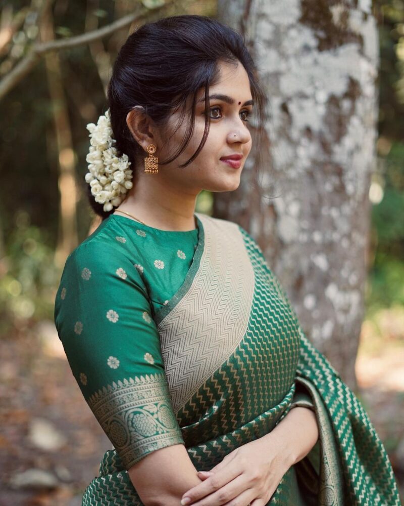 Green Golden Zari Weaving Saree - Image 3