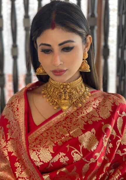 mouni-roy-banarasi-silk-saree