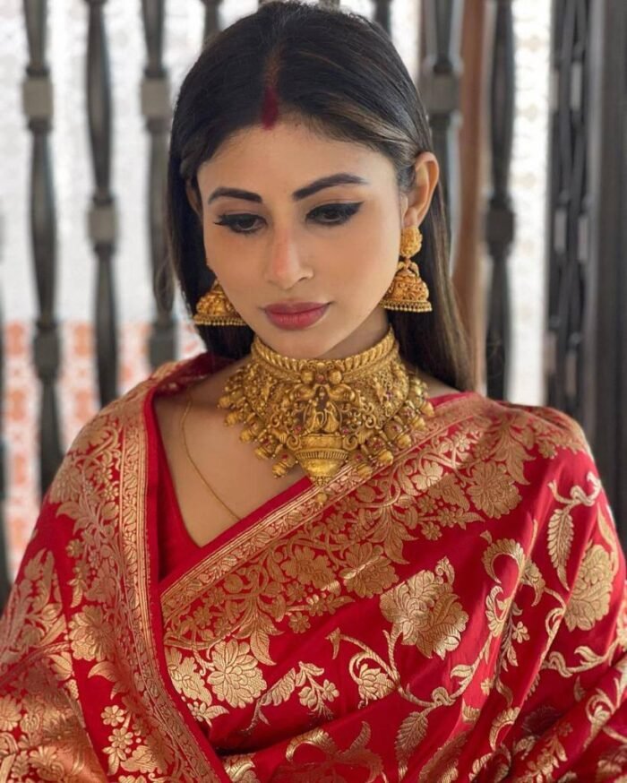 mouni-roy-banarasi-silk-saree