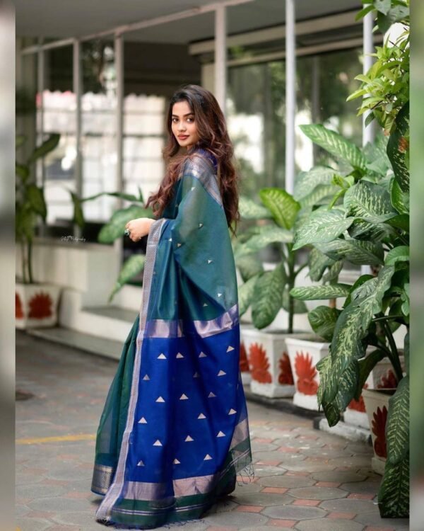 stunning rama banarasi silk saree 1