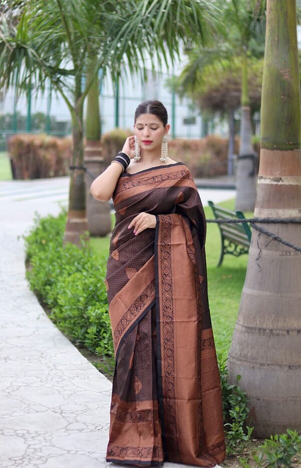 three colours banarasi silk saree black 1
