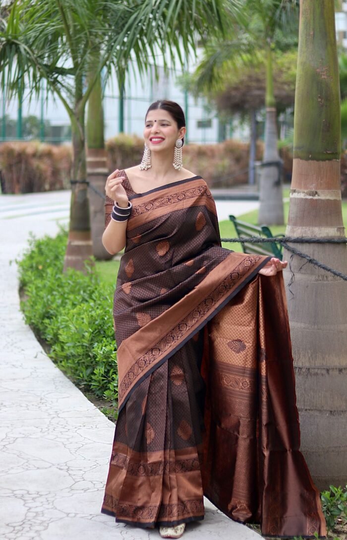 banarasi-silk-saree-black