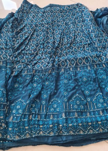 Rama Chikankari Work Lehenga Choli - Image 2