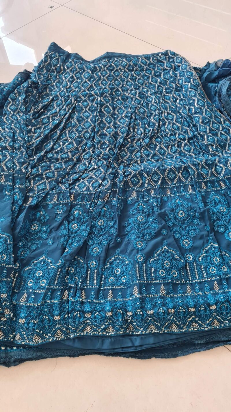 Rama Chikankari Work Lehenga Choli - Image 2