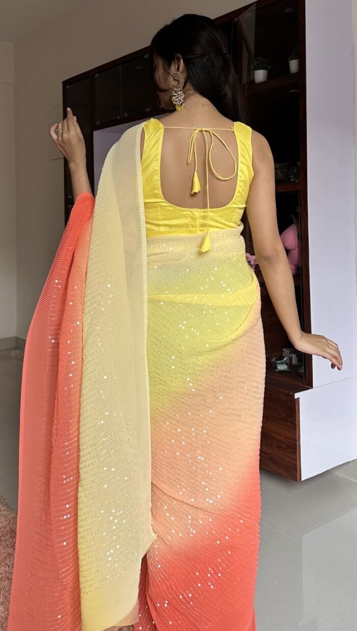 shaded-crush-sequins-saree-back