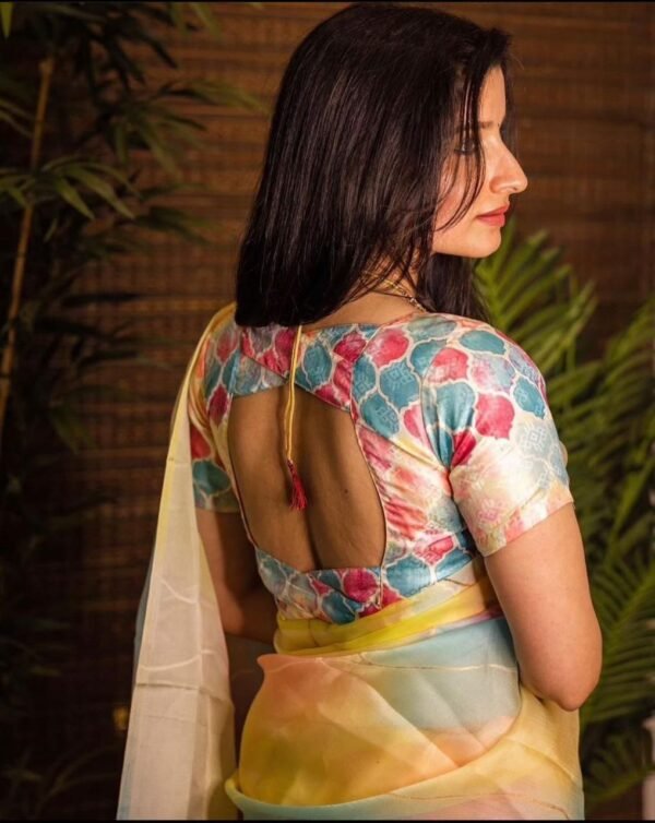 soft-organza-shaded-print-saree-back