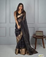 solid-kora-organza-saree-black