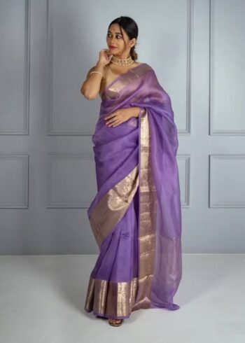 solid-kora-organza-saree-firozi