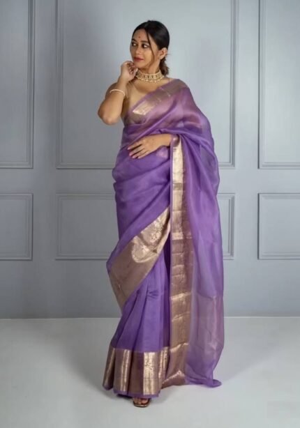 solid-kora-organza-saree-firozi