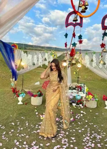 Golden Color Soft Net Embroidered Saree for Party