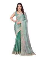 C-Pallu Burberry Silk Party Wear Saree in pastel colours