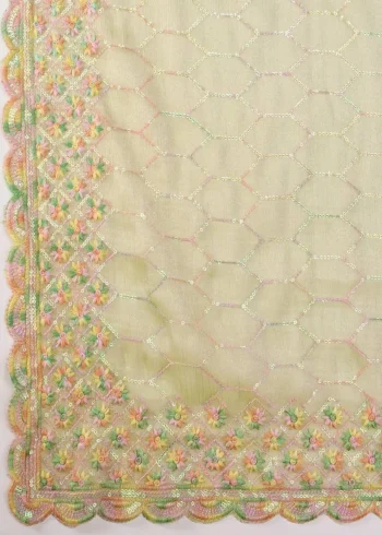 C-Pallu Burberry Silk Party Wear Saree in pastel colours