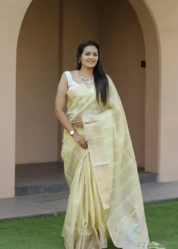 Beautiful Sequins Work Jacquard Border Soft Cotton Silk Saree