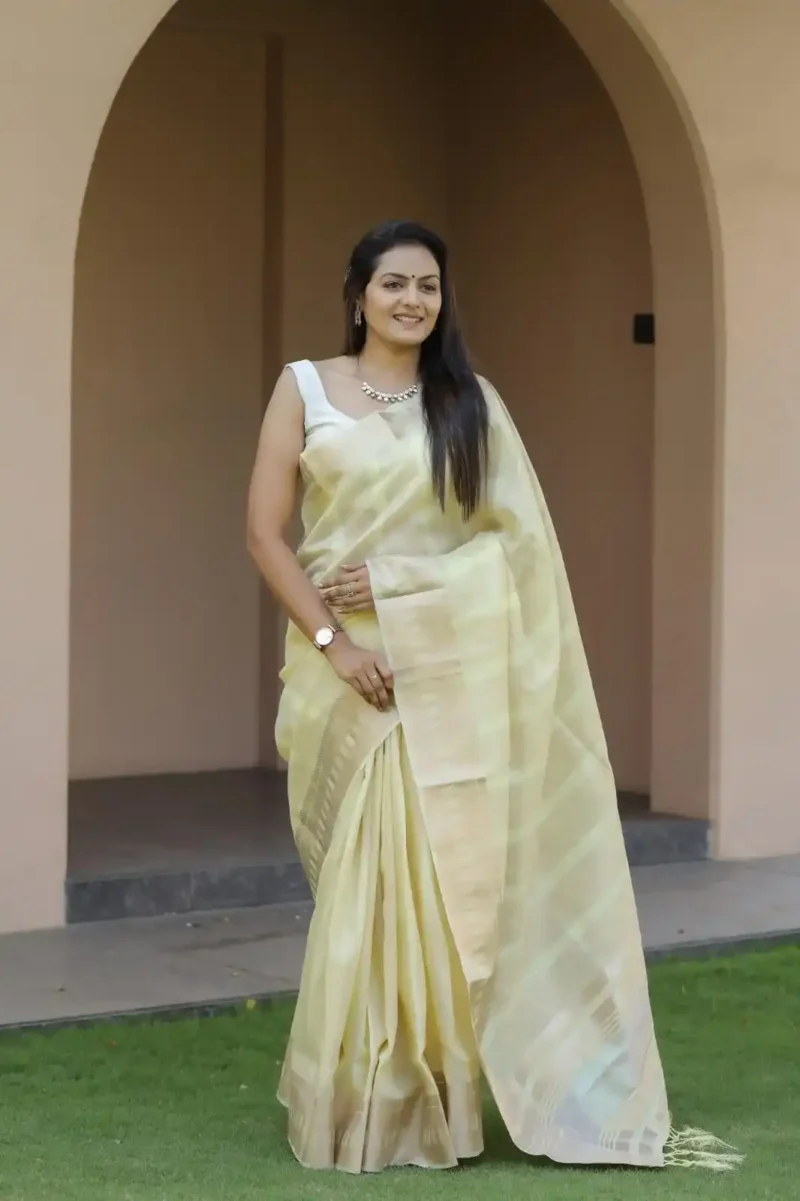 Beautiful Sequins Work Jacquard Border Soft Cotton Silk Saree