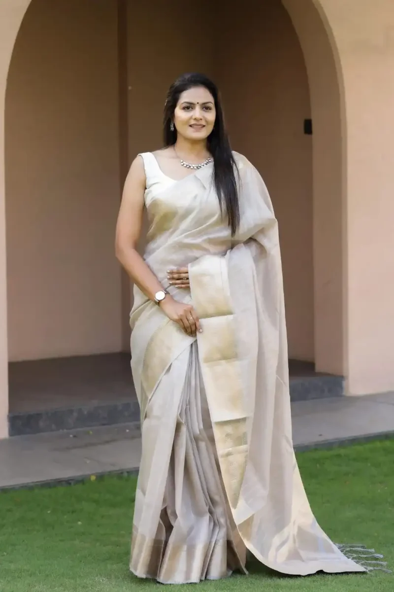 Beautiful Sequins Work Jacquard Border Soft Cotton Silk Saree