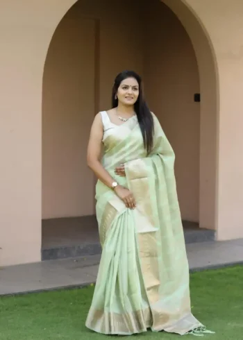 Beautiful Sequins Work Jacquard Border Soft Cotton Silk Saree