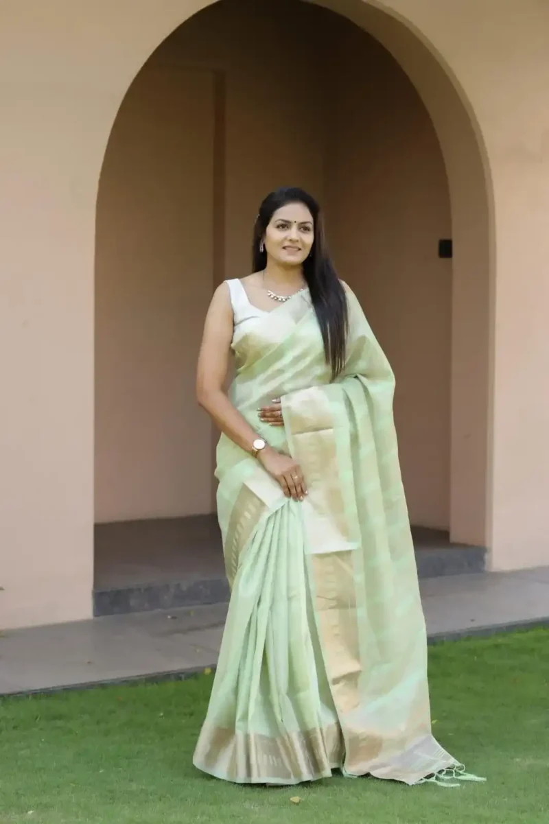 Beautiful Sequins Work Jacquard Border Soft Cotton Silk Saree