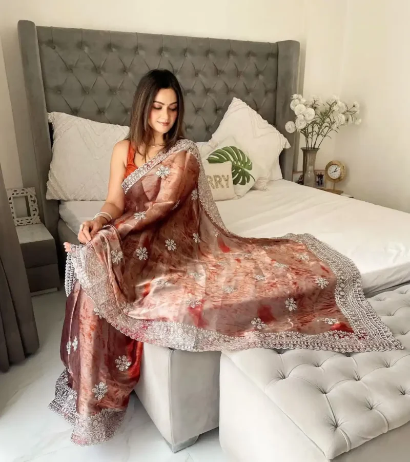 Burberry Sprey print Sequins Work Designer Party Saree