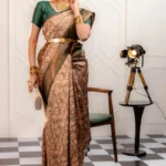 Butterfly Zari Work Banarasi Silk Saree for Wedding