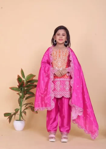Heavy Embroidered Coding Dori Sequins Work Kids Dress