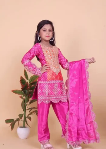 Heavy Embroidered Coding Dori Sequins Work Kids Dress