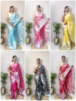 Kanchipuram Ready to Wear Designer Organza Saree