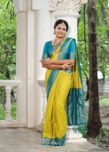 Khadi Georgette Silk Saree with Weaving Blouse