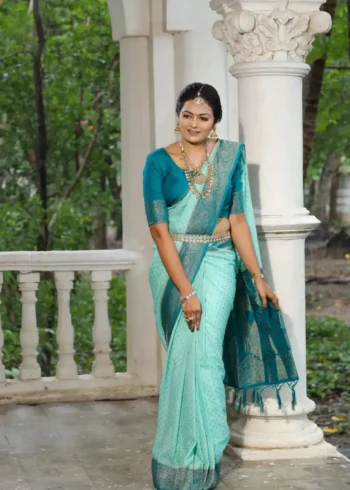 Khadi Georgette Silk Saree with Weaving Blouse