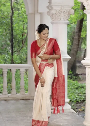 Khadi Georgette Silk Saree with Weaving Blouse