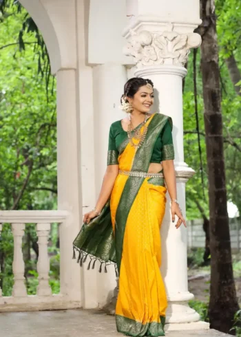 Khadi Georgette Silk Saree with Weaving Blouse