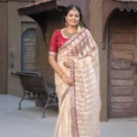 Pure Banarasi Soft Organza Silk Multi-Stitched Border Saree