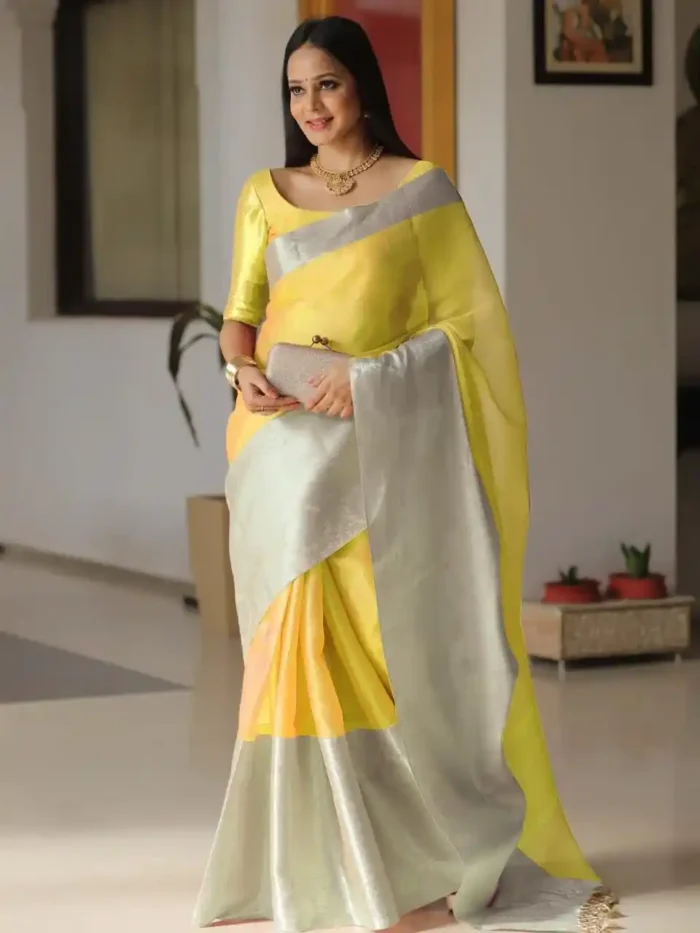 Soft Jacquard Border Tissue Silk Saree