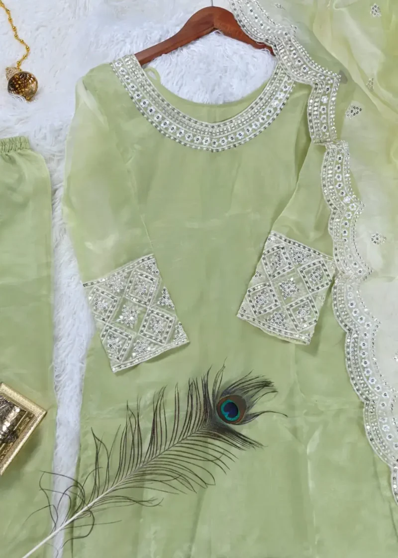 Sequence Embroidery Work Organza Suit for Wedding