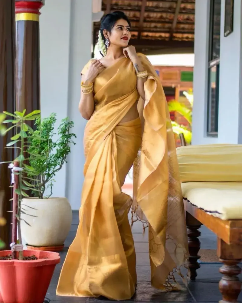 Golden Rich Pallu Jacquard Work Soft Kota Silk Saree