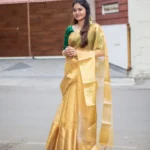 Golden Rich Pallu Jacquard Work Soft Kota Silk Saree