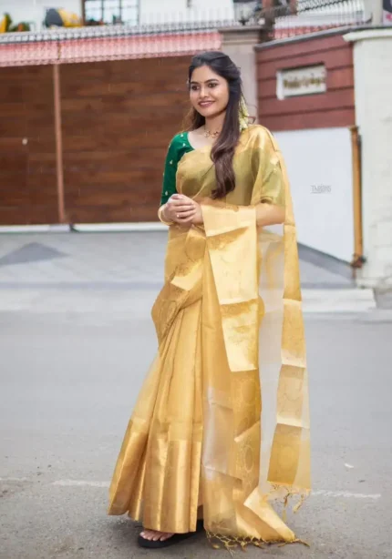 Golden Rich Pallu Jacquard Work Soft Kota Silk Saree