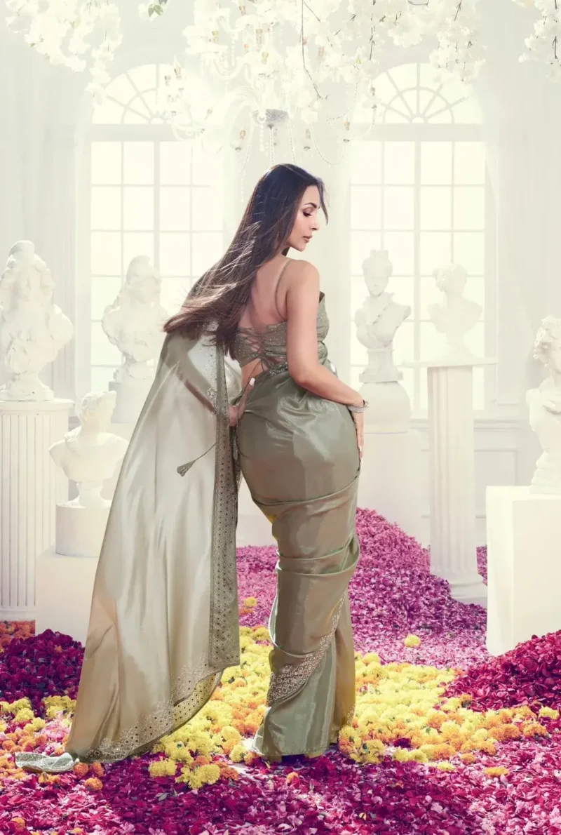 Malaika Arora Inspired Jimmy Choo Diamond & Hand Mirror Work Saree