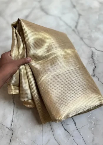 Nayanthara Inspired Rich Pallu Jacquard Work Tissue Silk Saree
