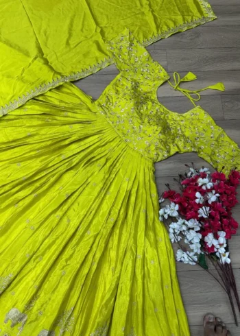 Parrot Green Chinon Embroidery Thread Work Designer gown