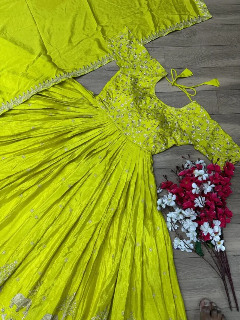 Parrot Green Chinon Embroidery Thread Work Designer gown