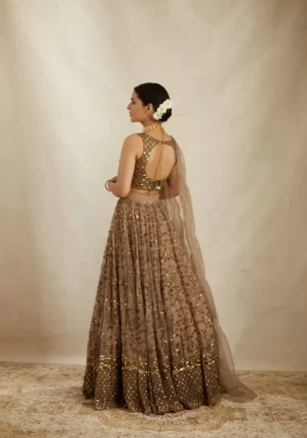 Brown Color Sequins With Jari Embroidery Work Partywear Net Lehenga Choli