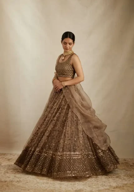 Brown Color Sequins With Jari Embroidery Work Partywear Net Lehenga Choli